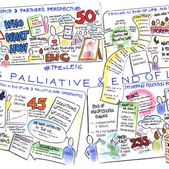 Graphic Facilitation Recording